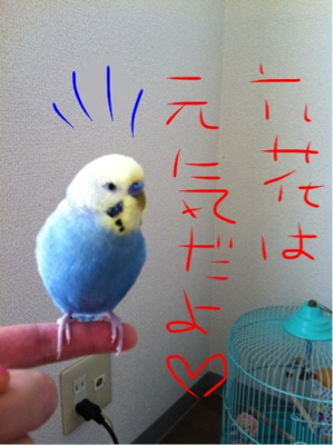 六花、お久し振り。