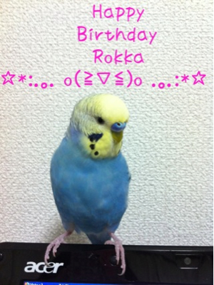 六花、２歳の誕生日！
